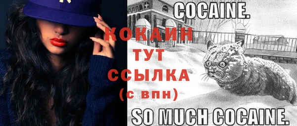 apvp Медвежьегорск